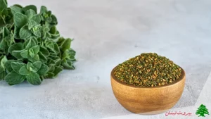 زعتر چیست