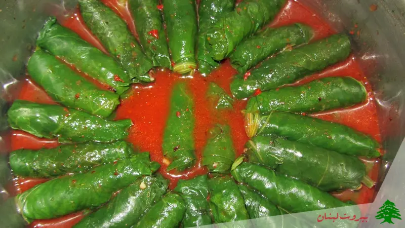 دلمه لبنانی