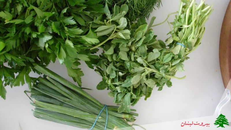 ترکیبات سبزی قورمه سبزی