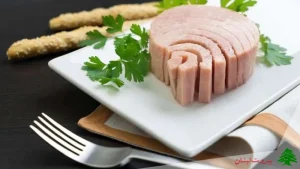 انواع غذا با تن ماهی