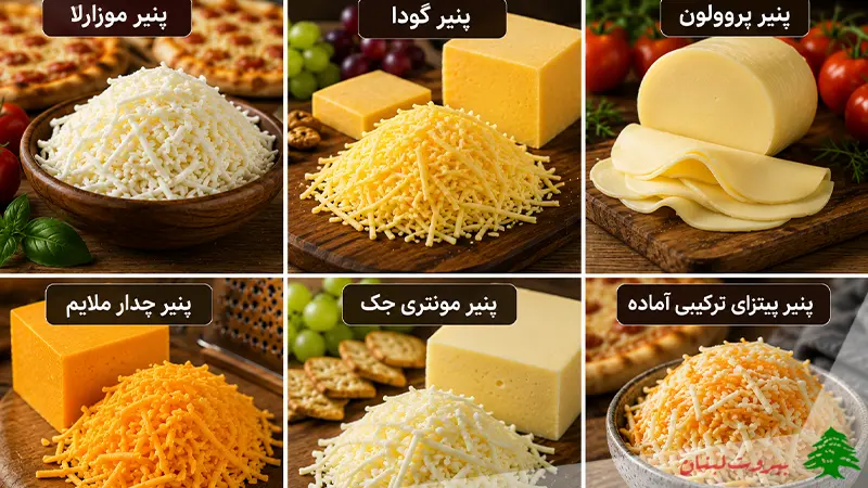 انواع پنیر پیتزا با بالاترین میزان کشسانی